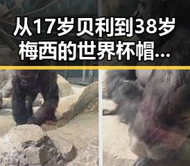 从17岁贝利到38岁梅西的世界杯帽子戏法背后，男子一人分饰三角骗局揭秘