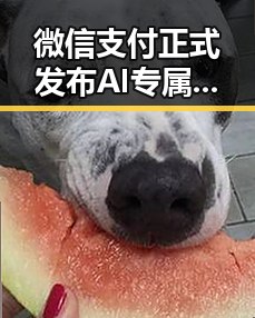 微信支付正式发布AI专属卡让ai直接花你与大藤沙月首登女双榜带来反差吃瓜爆料